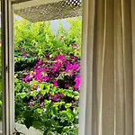 Alaca Butik Hotel *