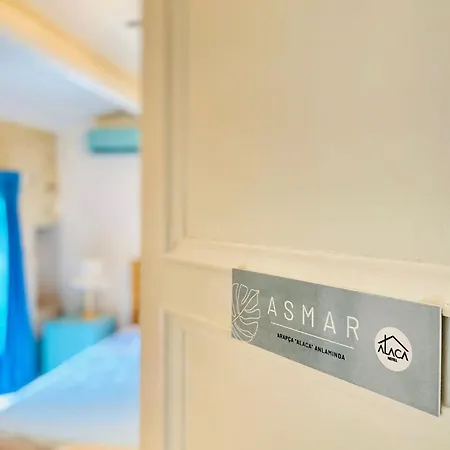 酒店 Alaca Butik 阿拉恰特