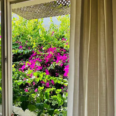 Alaca Butik 酒店 *