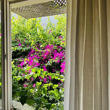 Alaca Butik * 阿拉恰特