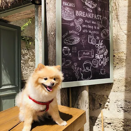 Отель Alaca Butik