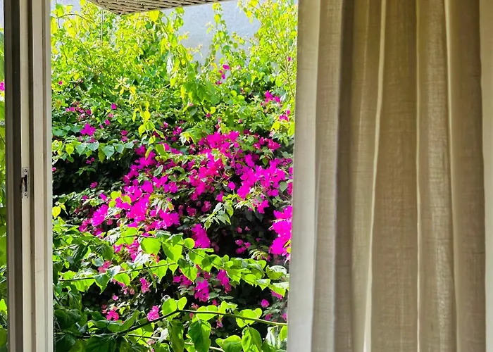 Alaca Butik Szálloda *