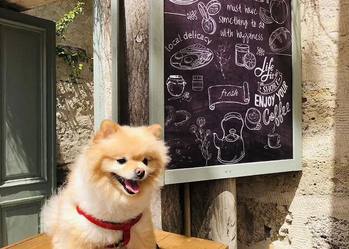 Szálloda Alaca Butik